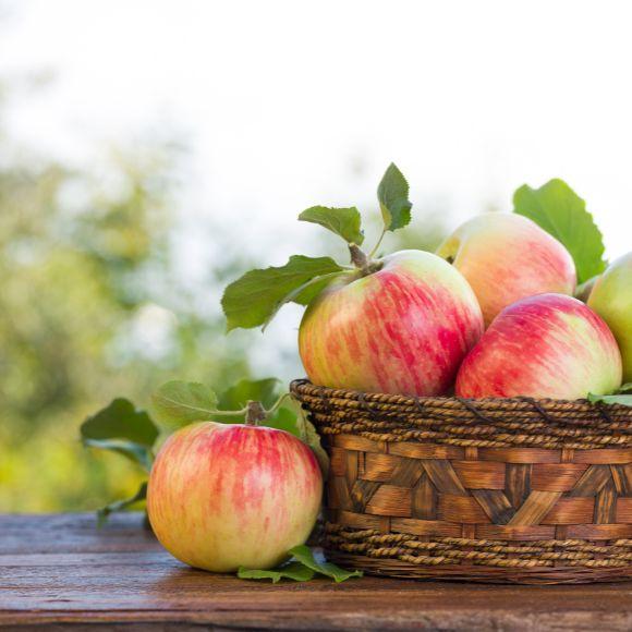 De Week van de Schoolkantine